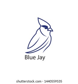 Blue Jay bird Wildlife Vector animals Isolated white background