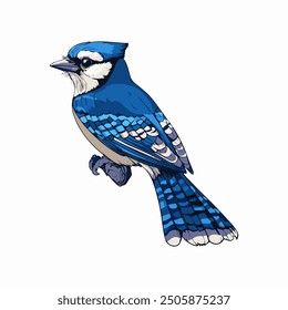 Blue jay coloring vector eps file