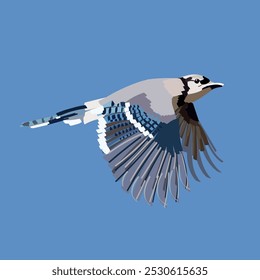 Blue jay Färbung Vektor eps Datei Illustration