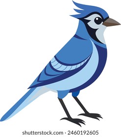 Blue jay details silhouette flat color outline vector illustration. 