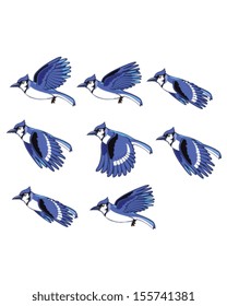 Blue Jay Flying Animation Sprite