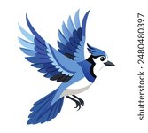 blue jay flying on white