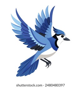 blue jay flying on white