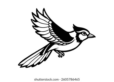 Blue Jay Flying on White Background