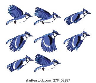 Blue Jay Flying Sprite