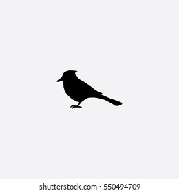 Blue Jay icon silhouette vector illustration

