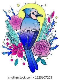 Blue Jay illustration, T-shirt design, Tattoo Design, Coloring book design