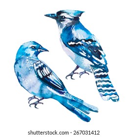 Blue Jay Isolated On A White Background. Watercolor. Vector.