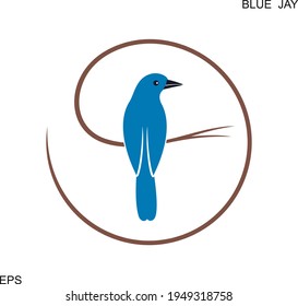 Blue jay logo. Isolated blue jay on white background