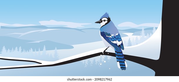 Blaujay auf schneebedecktem Zweig im Winter, Vektorgrafik