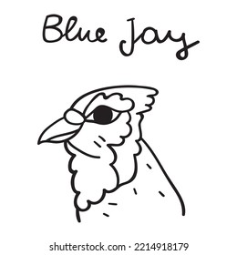 Blue Jay. Simple Outline Hand Drawn Icon. 