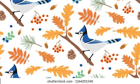 Blue jay sitting on a branch of an oak on a white background with leaves, acorns, berries, pine needles and pine cones. Seamless pattern.