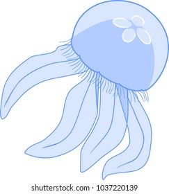 Blue jellyfish or Aurelia aurita on white background