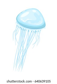 Blue jellyfish isolated on white background, illustration.