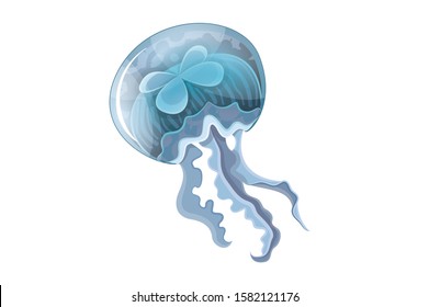 Blue jellyfish, marine creature vector illustration isolated on the white background