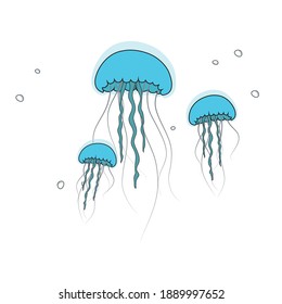 Blue jellyfish on white background. Detailed cartoon sea jelly. Vector illustration