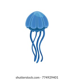 Blue jellyfish, phyllorhiza punctata species of underwater life vector Illustration