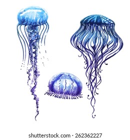 Blue jellyfish set 1