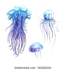 Blue jellyfish set 2