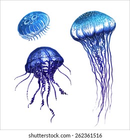 Blue jellyfish set 3