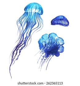 Blue jellyfish set 4