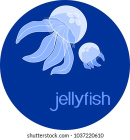 Blue jellyfishes or Aurelia aurita on blue background with title