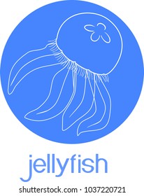 Blue jellyfishes or Aurelia aurita on blue background with title