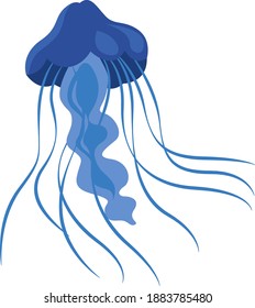 Jellyfish Watercolor Illustration Medusa Painting Isolated Stock ...