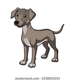 Blue Lacy dog breed vector illustration isolated on white background in cartoon style.