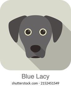 Blue lacy dog character, dog breed cartoon image series