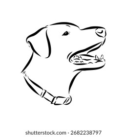 Blue Lacy, dog, vector sketch