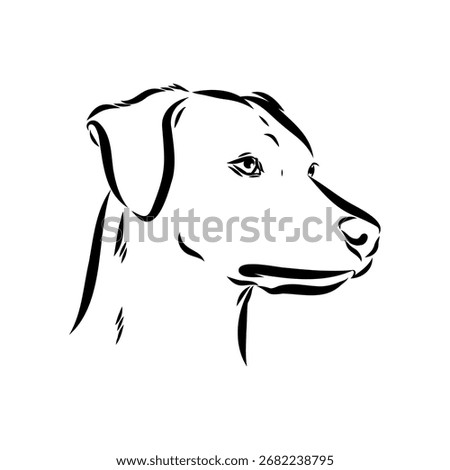 Blue Lacy, dog, vector sketch
