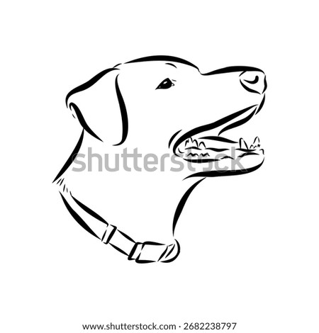 Blue Lacy, dog, vector sketch