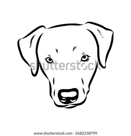 Blue Lacy, dog, vector sketch