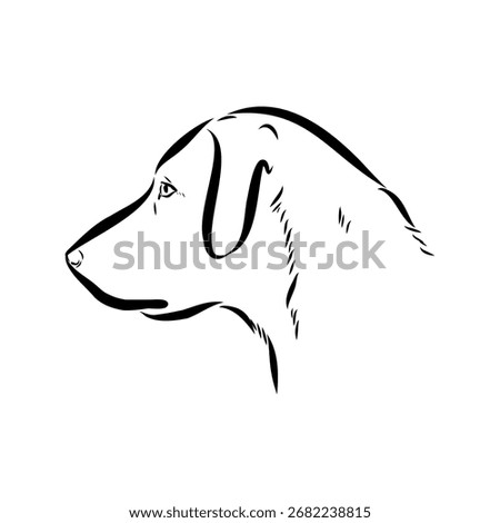 Blue Lacy, dog, vector sketch