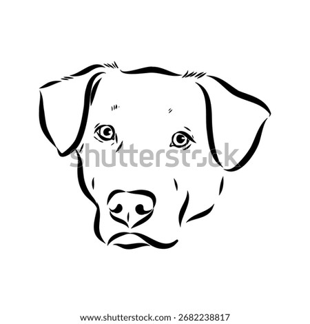 Blue Lacy, dog, vector sketch