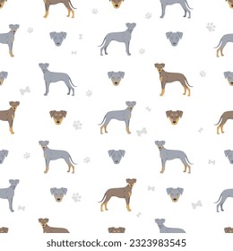 Blue Lacy seamless pattern. Different coat colors and poses set.  Vector illustration