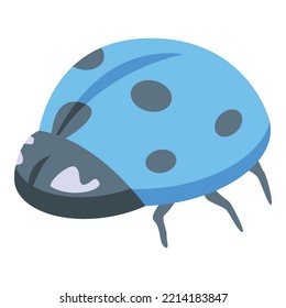 Blue ladybug icon isometric vector. Cute garden insect. Ladybird beetle