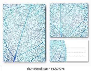 Blue leaf backgrounds with space for your text. Vector illustration