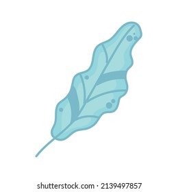 blue leaf image over white