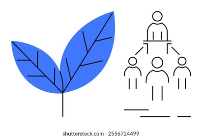 Blue leaf symbol next to a schematic hierarchical structure of people represents the themes of nature, organisation, teamwork, ecology, and leadership. Ideal for ecology, teamwork, natural resources