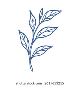 A blue leaf with a white background. The leaf is drawn in a stylized way