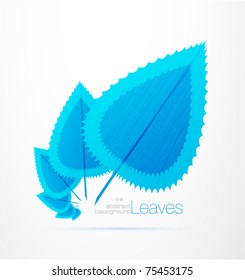 Blue leaves