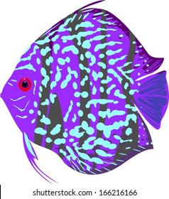 Blue leopard discus fish