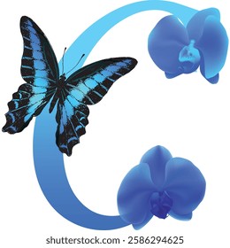 Blue letter C with orchid and butterfly on white background