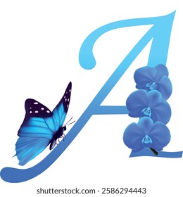 Blue letter A with orchid and butterfly on white background