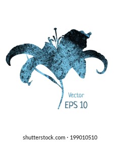 Blue lily. Vector illustration