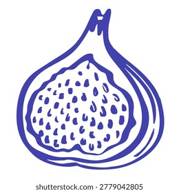Blue line fig fruit illustration with sliced Mediterranean fig, and seeds , isolated on white, ideal for packaging, menus, kitchen prints, textile projects and natural food branding.