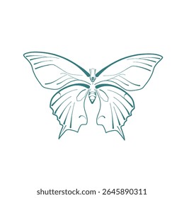 ilustração de vetor de linha azul formando uma borboleta sem fundo