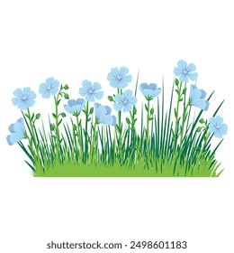 blue linum,flax, field flowers, vector drawing wild plants and green grass at white background, floral elements, hand drawn botanical illustration